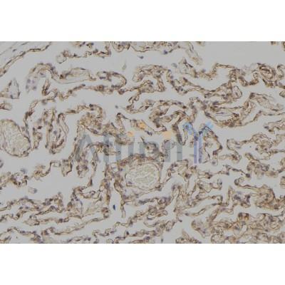 Валидация Affinity DF7050 - 18687