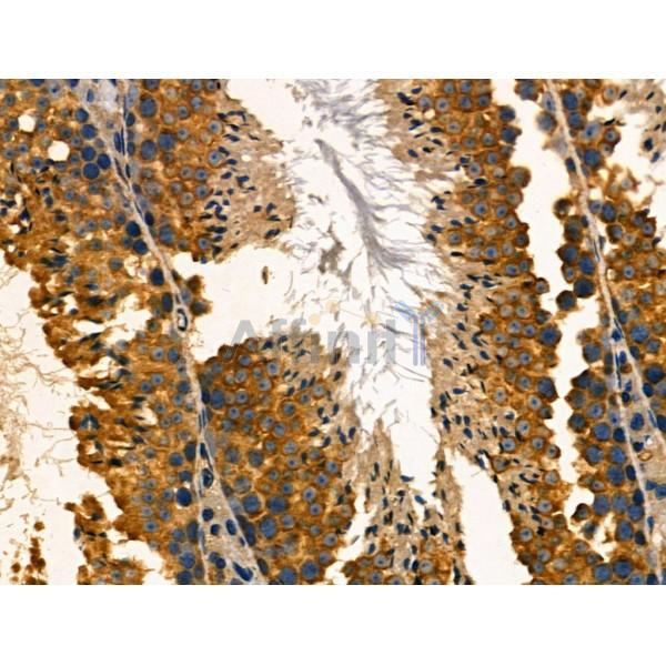 Валидация Affinity DF3080 - 13822