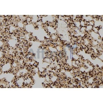 Валидация Affinity DF7343 - 19052