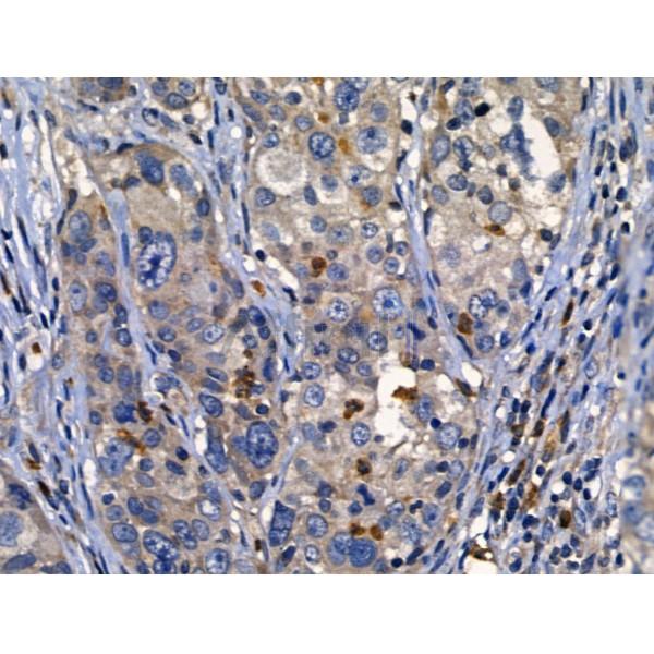 Валидация Affinity AF5141 - 2533