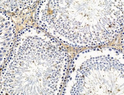 Валидация Affinity DF15555 - 11959