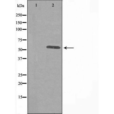 Валидация Affinity DF3126 - 13904
