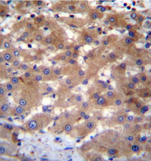 Валидация AssayVector ARM2359(4110)