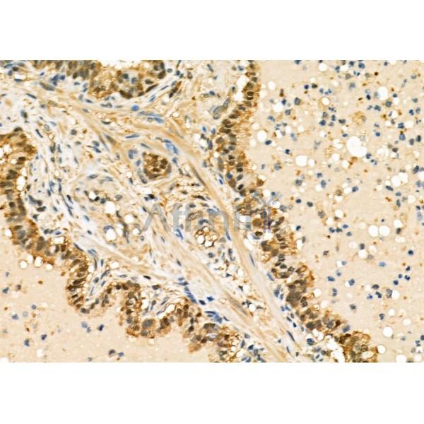 Валидация Affinity DF6688 - 18187