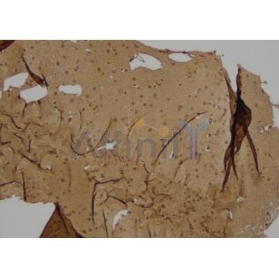 Валидация Affinity AF6210 - 3451