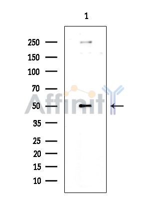 Валидация Affinity DF2711 - 13424