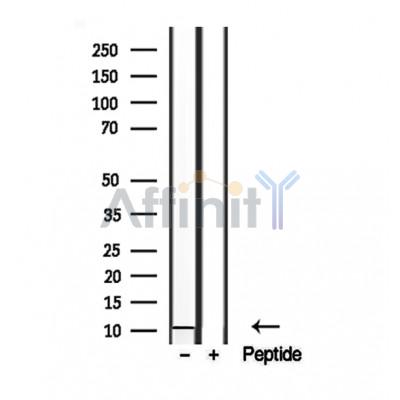 Валидация Affinity DF12042 - 6081
