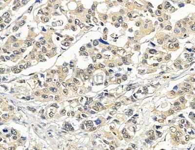 Валидация Affinity DF9094 - 21386