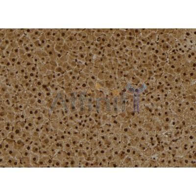 Валидация Affinity DF2903 - 13631