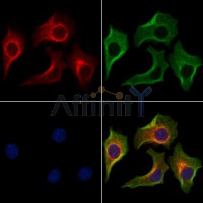 Валидация Affinity DF13032 - 7856