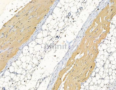 Валидация Affinity DF15546 - 11948