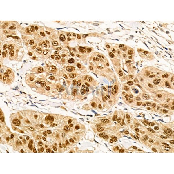 Валидация Affinity AF5488 - 3169