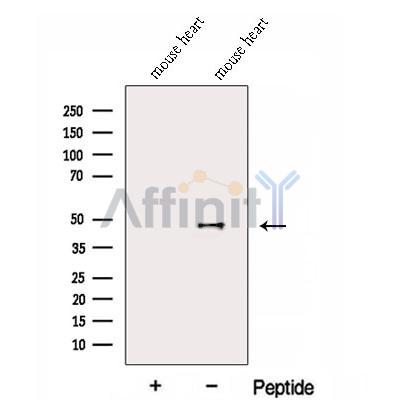 Валидация Affinity DF12999 - 7783
