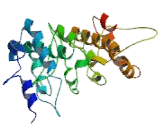 Adherens Junctions Associated Protein 1 (AJAP1) Adherens Junctions Associated Protein 1 (AJAP1)