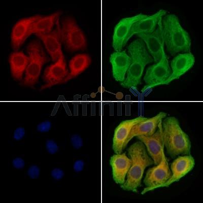 Валидация Affinity DF13290 - 8417