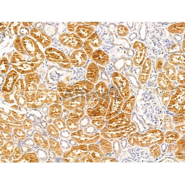 Валидация Affinity DF13566 - 9022