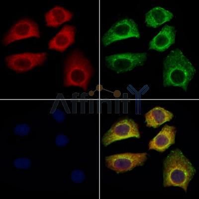 Валидация Affinity DF12728 - 7404