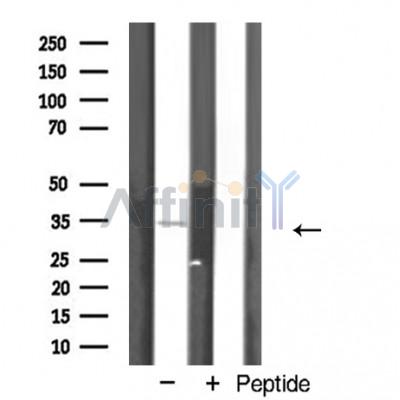 Валидация Affinity AF5269 - 2789