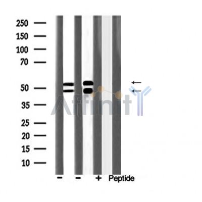 Валидация Affinity DF6806 - 18380