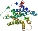Vomeronasal 1 Receptor 2 (VN1R2) Vomeronasal 1 Receptor 2 (VN1R2)