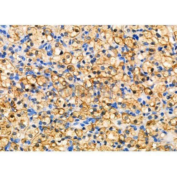 Валидация Affinity DF2766 - 13506