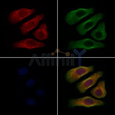 Валидация Affinity DF3744 - 14813