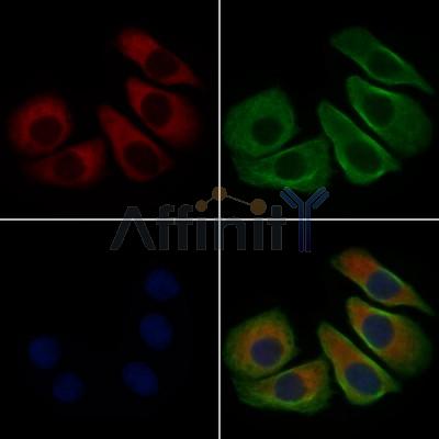 Валидация Affinity DF7106 - 18755