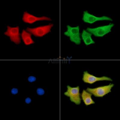 Валидация Affinity DF14373 - 10292