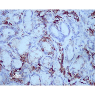 Валидация Affinity DF6134 - 17363