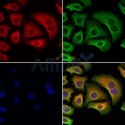 Валидация Affinity DF13735 - 9379