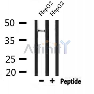 Валидация Affinity DF10220 - 5791