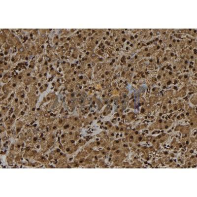 Валидация Affinity AF9221 - 5061