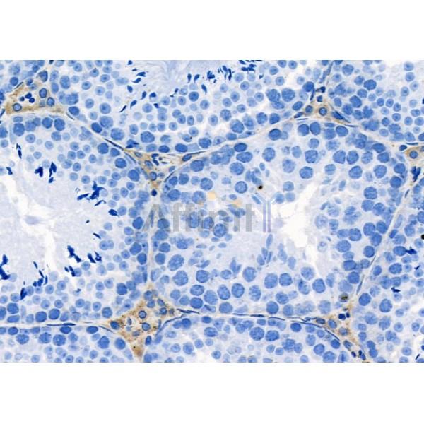 Валидация Affinity DF9136 - 21466