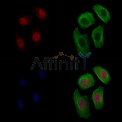 Валидация Affinity AF7775 - 4485