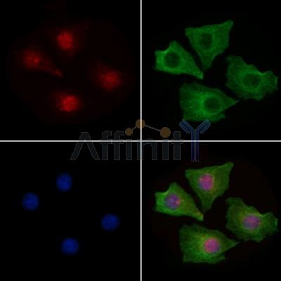 Валидация Affinity AF4355 - 2190