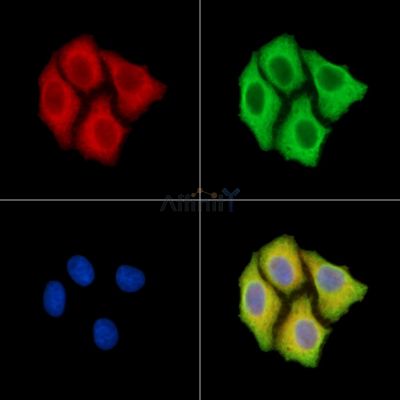 Валидация Affinity DF14705 - 10768