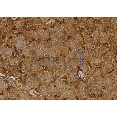 Валидация Affinity DF4260 - 15651