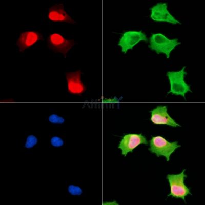 Валидация Affinity DF13797 - 9472