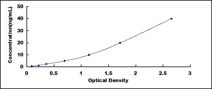 37213