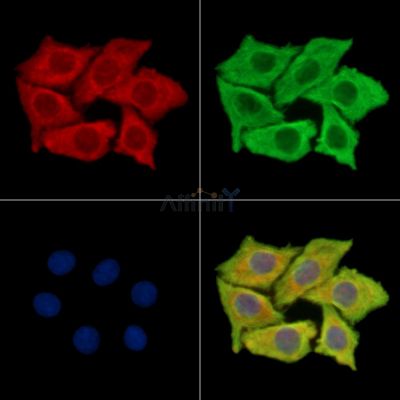 Валидация Affinity DF13881 - 9610