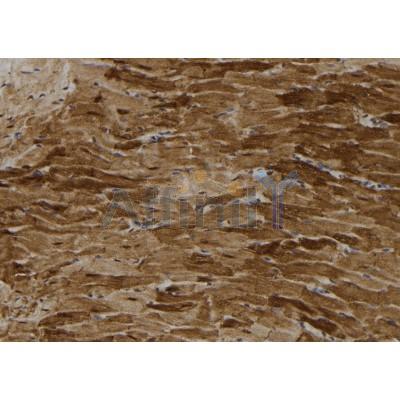 Валидация Affinity DF12016 - 6028