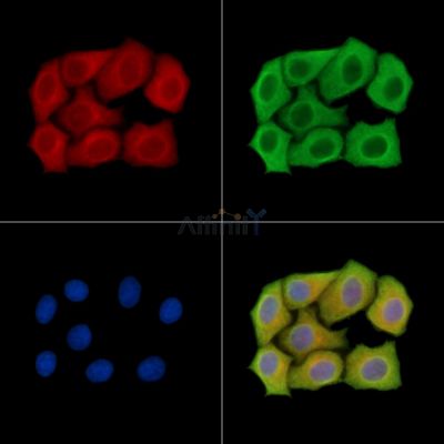 Валидация Affinity DF13986 - 9742