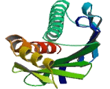 Protein C Receptor, Endothelial (PROCR) Protein C Receptor, Endothelial (PROCR)