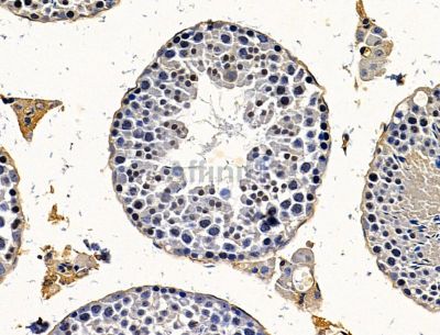 Валидация Affinity DF15405 - 11725