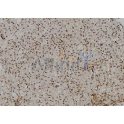 Валидация Affinity DF6831 - 18402