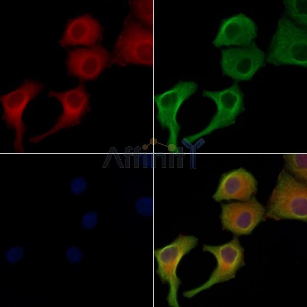 Валидация Affinity DF4580 - 16183