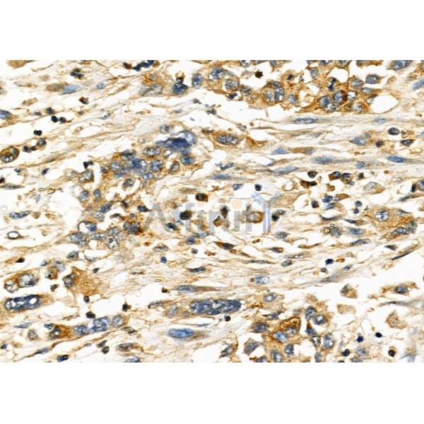 Валидация Affinity DF8270 - 20114