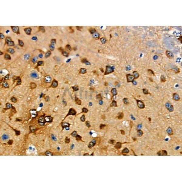 Валидация Affinity DF7890 - 19712