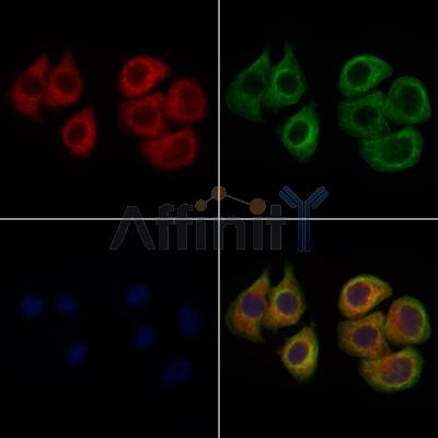 Валидация Affinity AF9093 - 4863