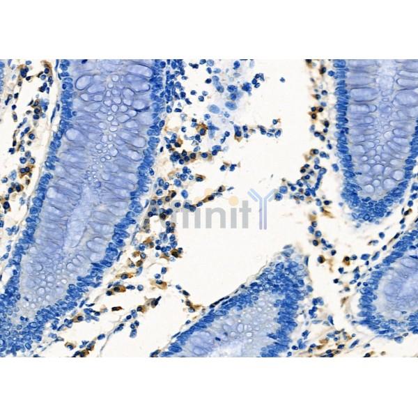 Валидация Affinity DF2327 - 12904